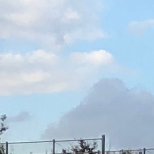 Meet your Posher, Mia